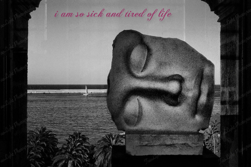 pizap.com141632329782411