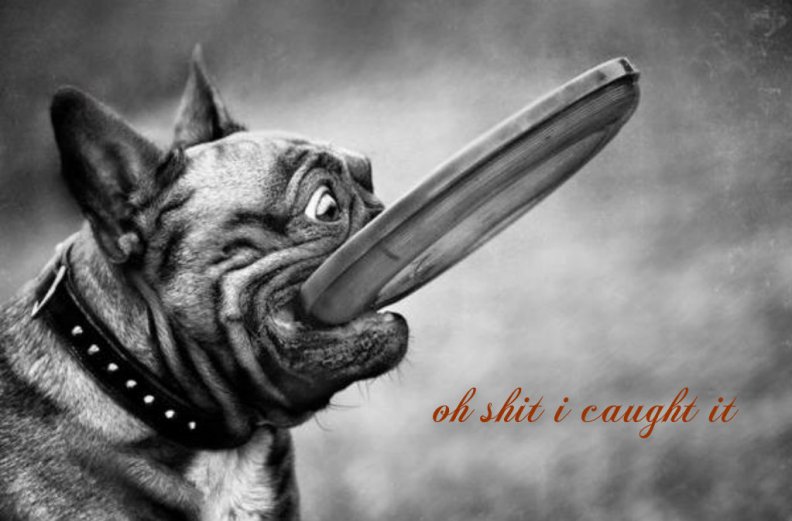 pizap.com141632369708613