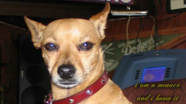 pizap.com141632406852915