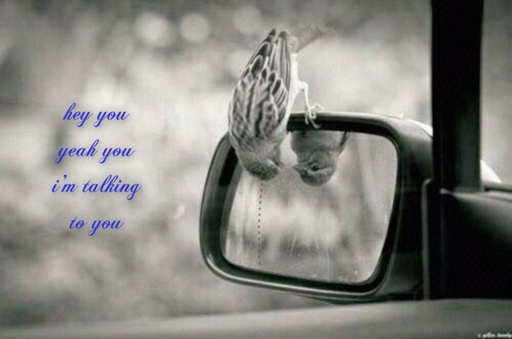 pizap.com141632427084516