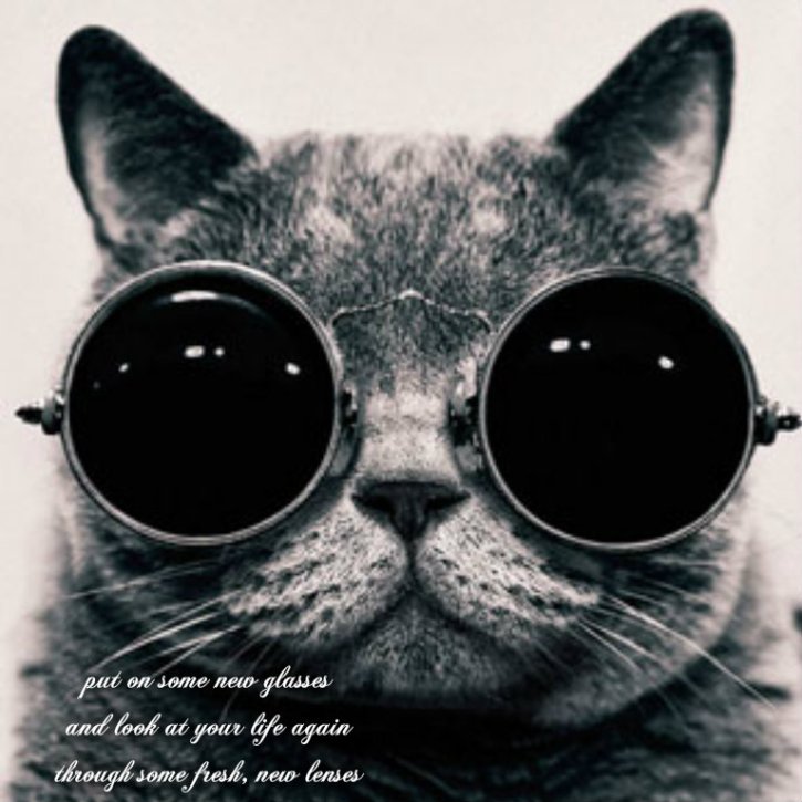 pizap.com141632491622019