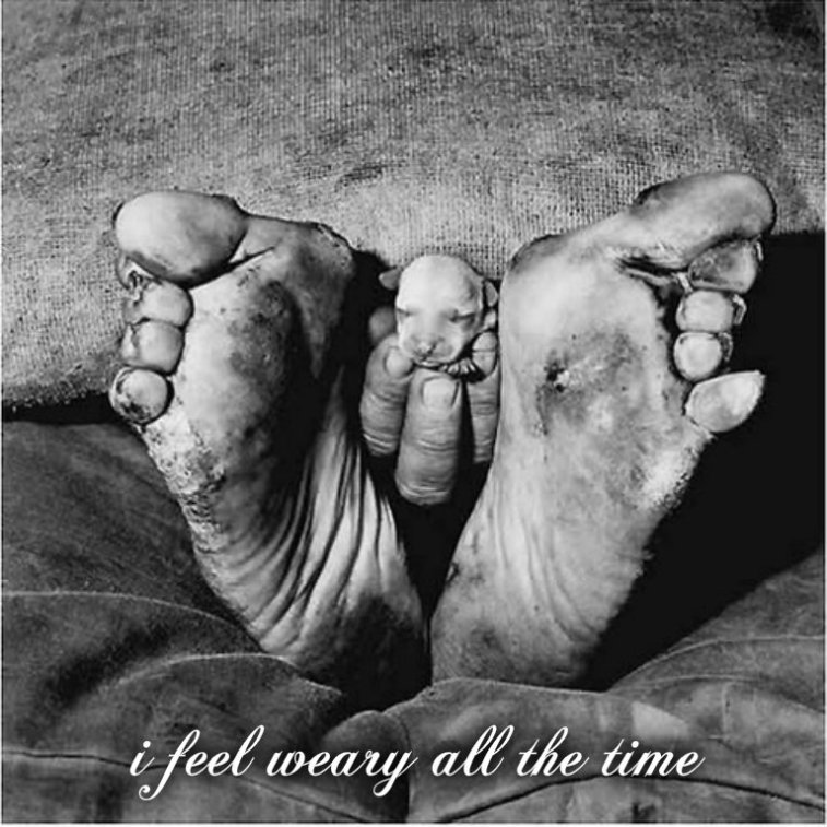 pizap.com141633383458734