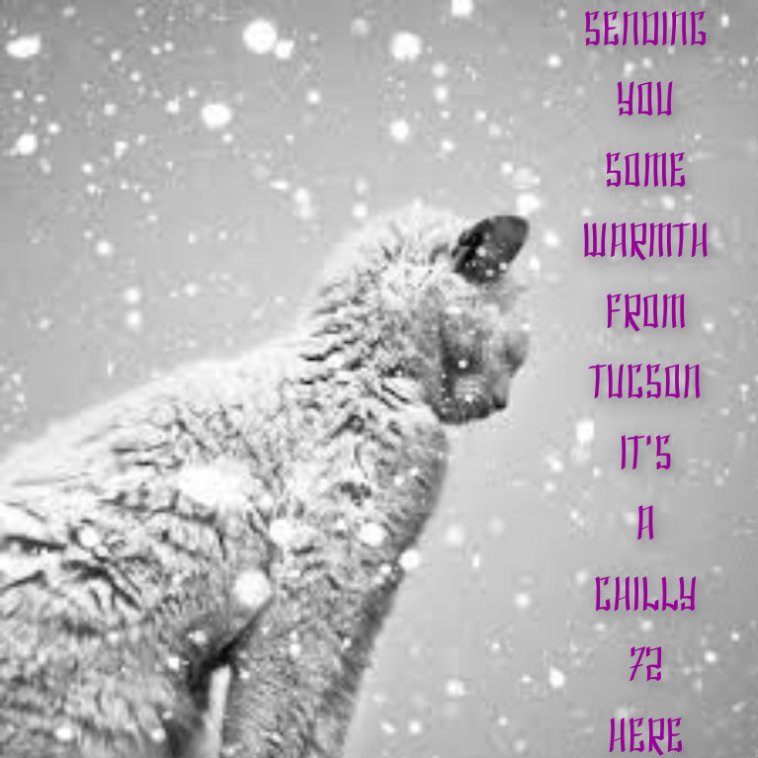 pizap.com141634608021513