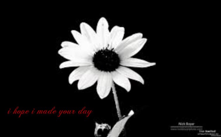 pizap.com141635783746643