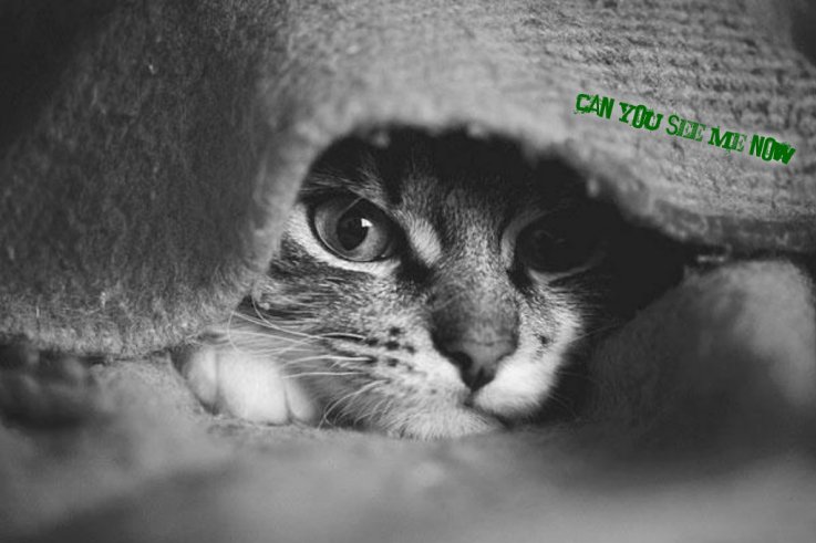 pizap.com141654482414027