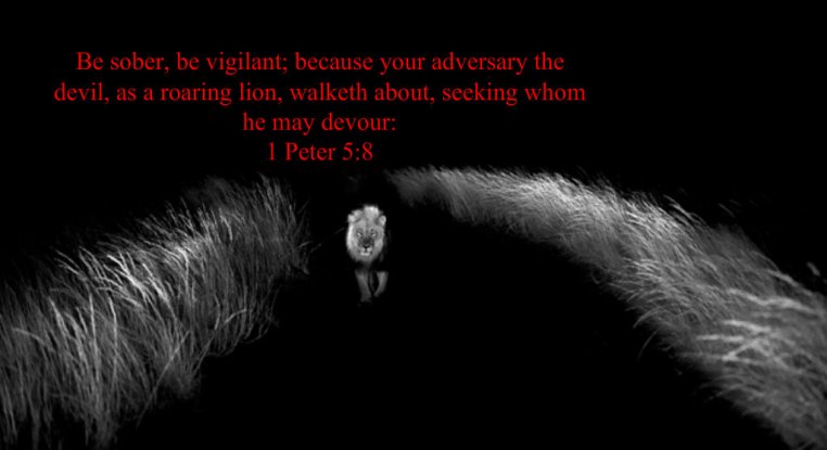 pizap.com141654691260632