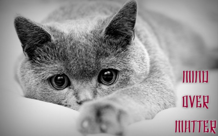 pizap.com14165487565423