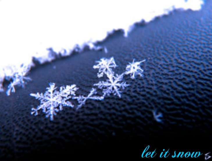 pizap.com14170688177622