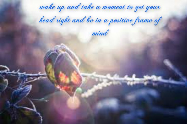 pizap.com14170699519546