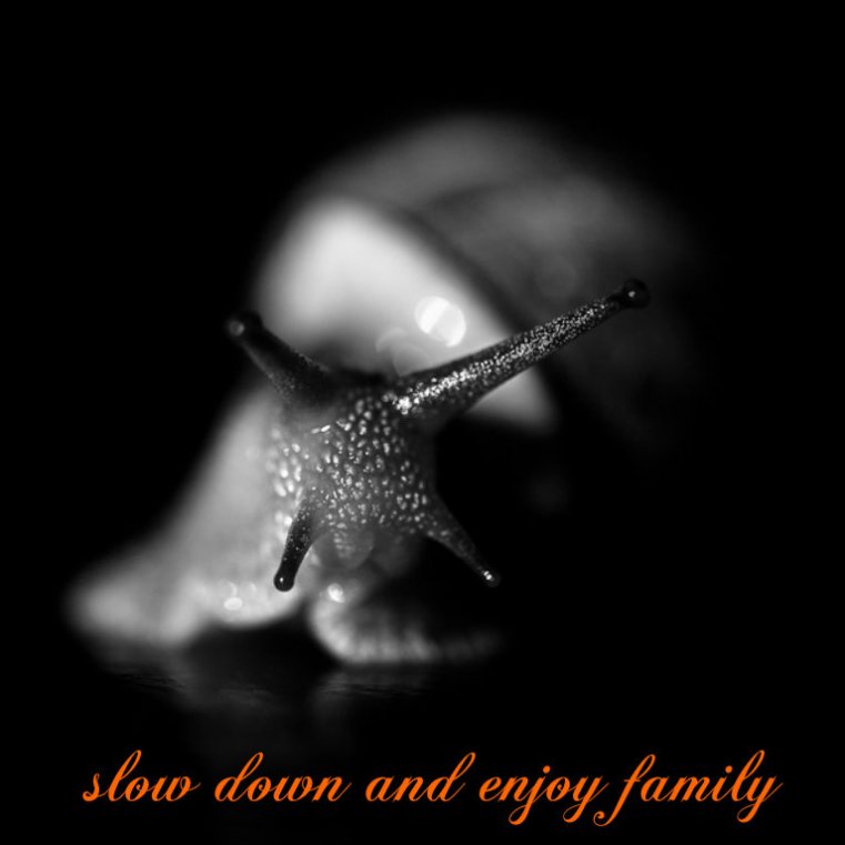 pizap.com14170705964877