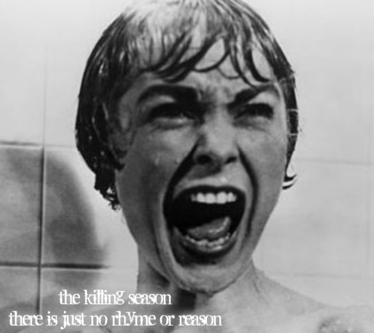 pizap.com14172545357493