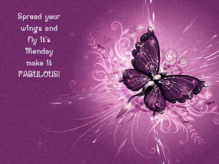 1233393_10201556300725734_355786487_n