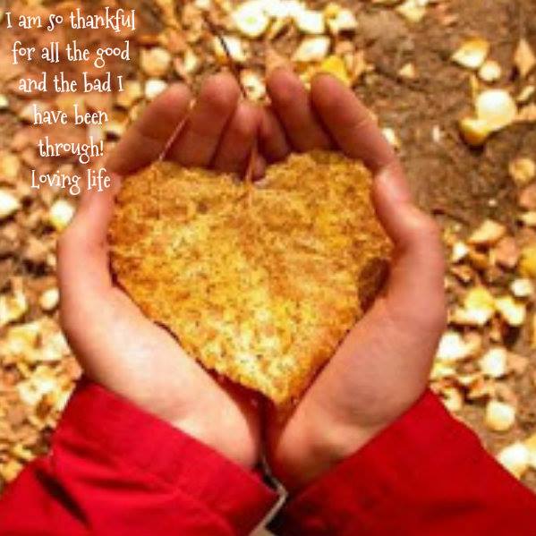 1234959_10201557063424801_662193076_n