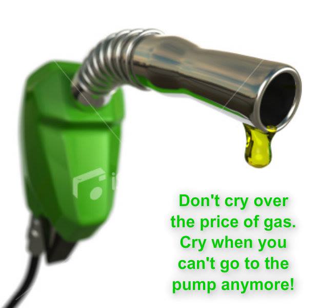 1236161_10201550151652011_293244946_n