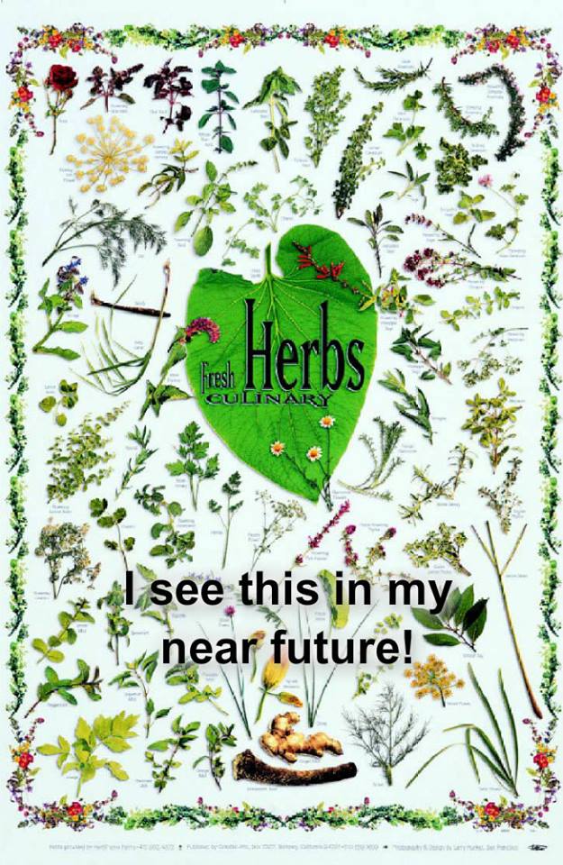 1238230_10201545422213778_1517829546_n