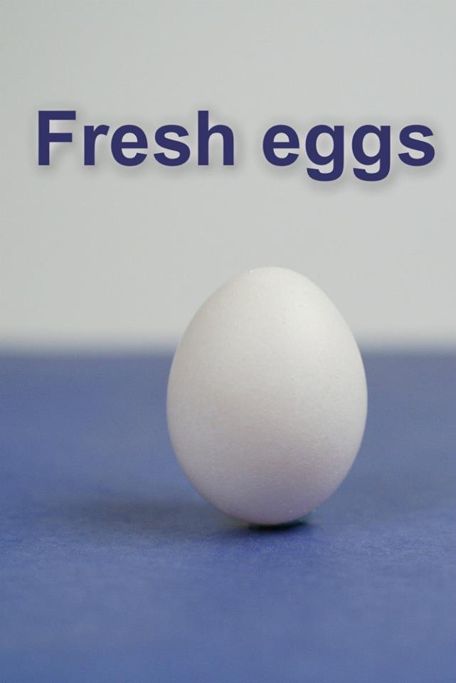 1239822_10201470178732738_599893764_n