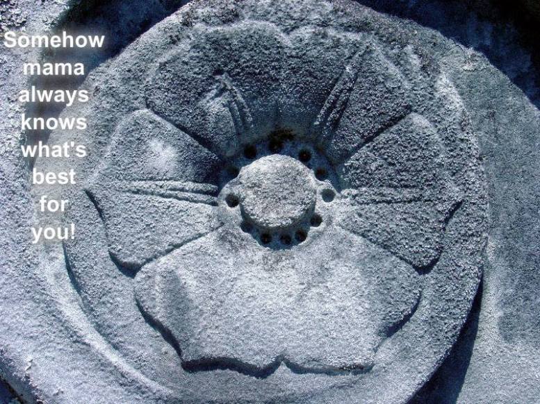 1240451_10201462589103002_1353595084_n