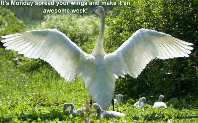 1255177_10201513060924766_1432964370_n