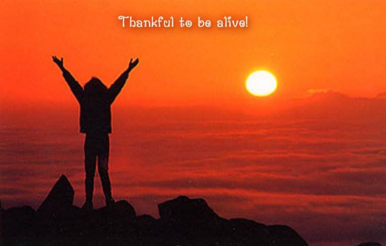 531833_10201546123511310_109366012_n