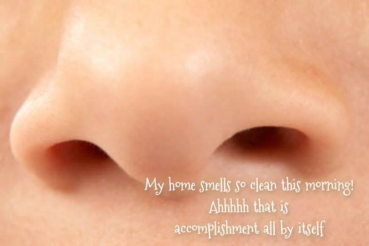 644252_10201556674975090_1300381987_n