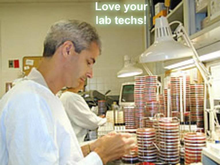 970017_10201541038304183_388593360_n