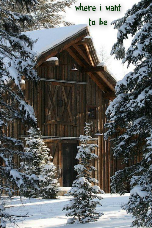 pizap.com141768328689923