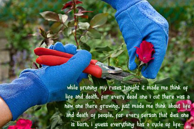 pizap.com14179007443741