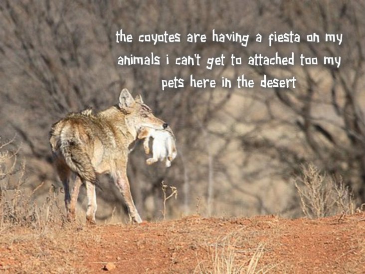 pizap.com14181823581301