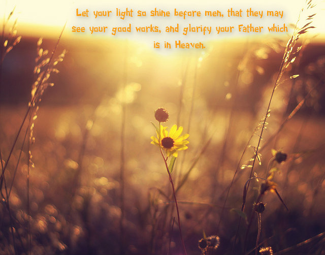 pizap.com14184498978071