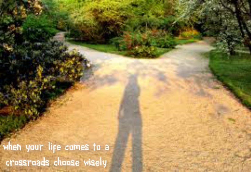 pizap.com14185229995482