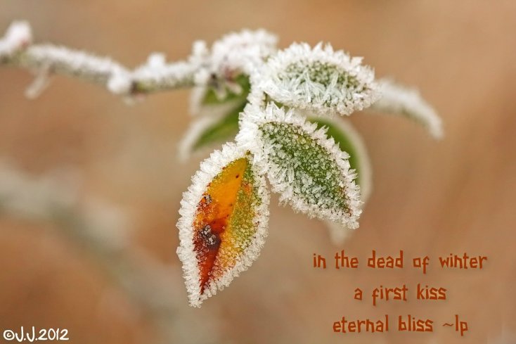 pizap.com14196657157451