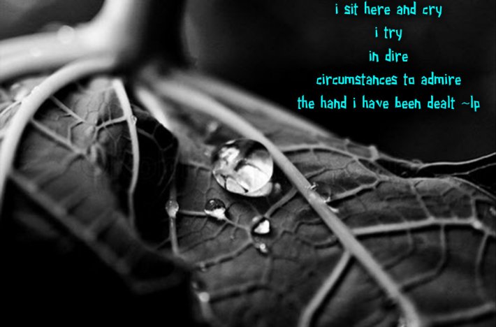 pizap.com14197503112841