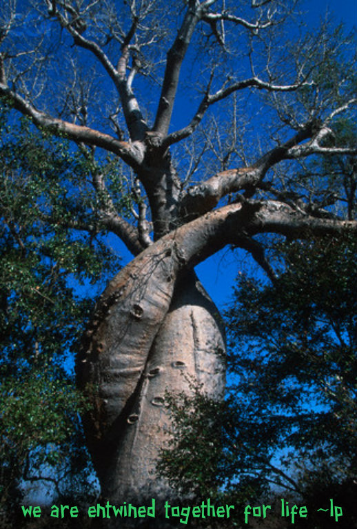 pizap.com14203539005371