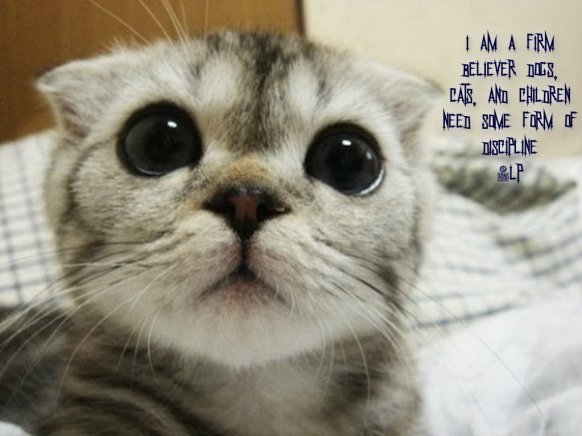 pizap.com14213551260191