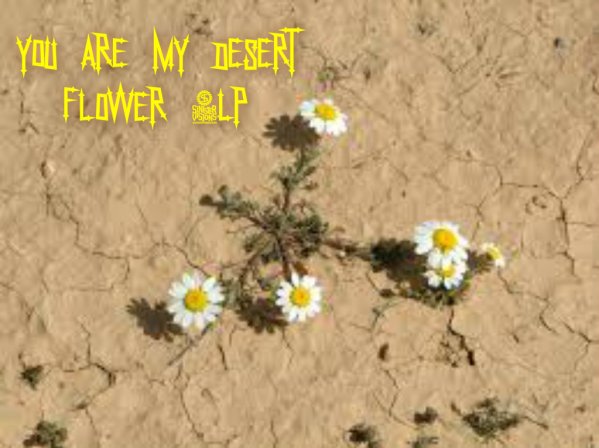 pizap.com14215076203531