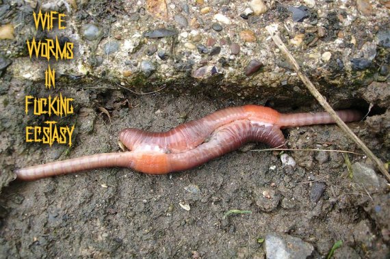 pizap.com14217038975891