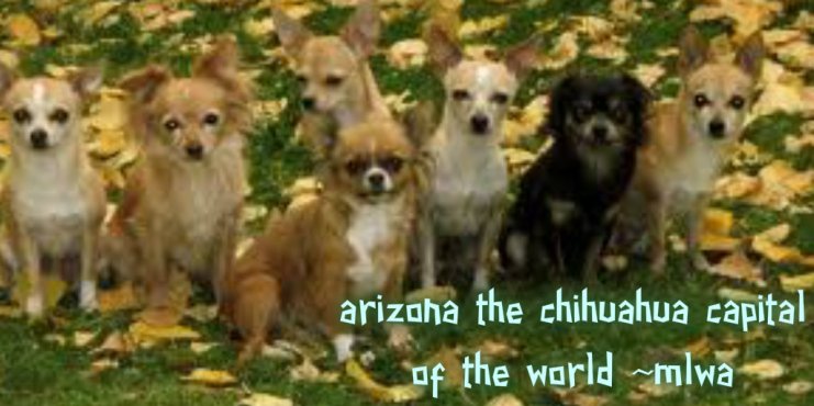 pizap.com14226007335471