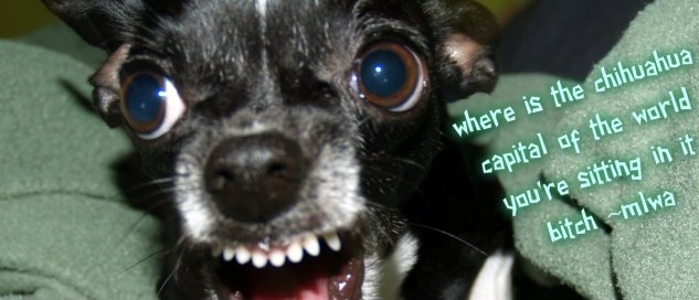 pizap.com14226012243842