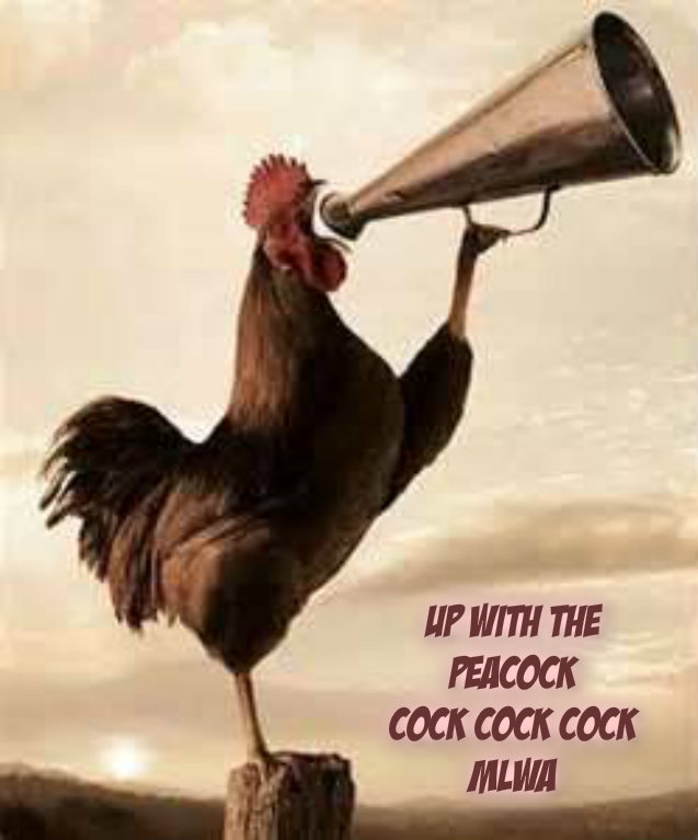 pizap.com14226681421091