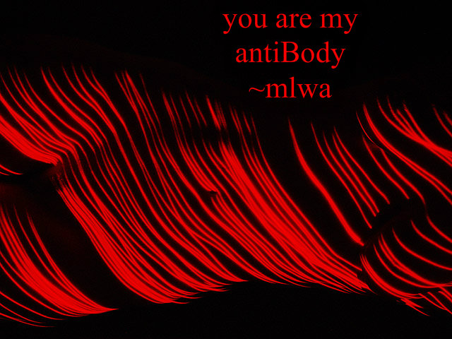 pizap.com14228315357851