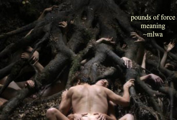 pizap.com14228381036613