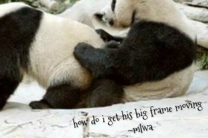 pizap.com14229975307891