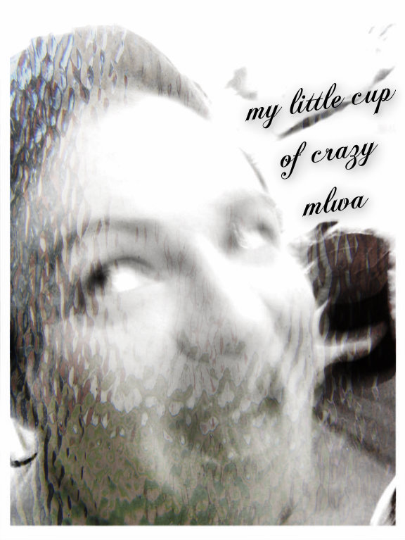 pizap.com14231978037032