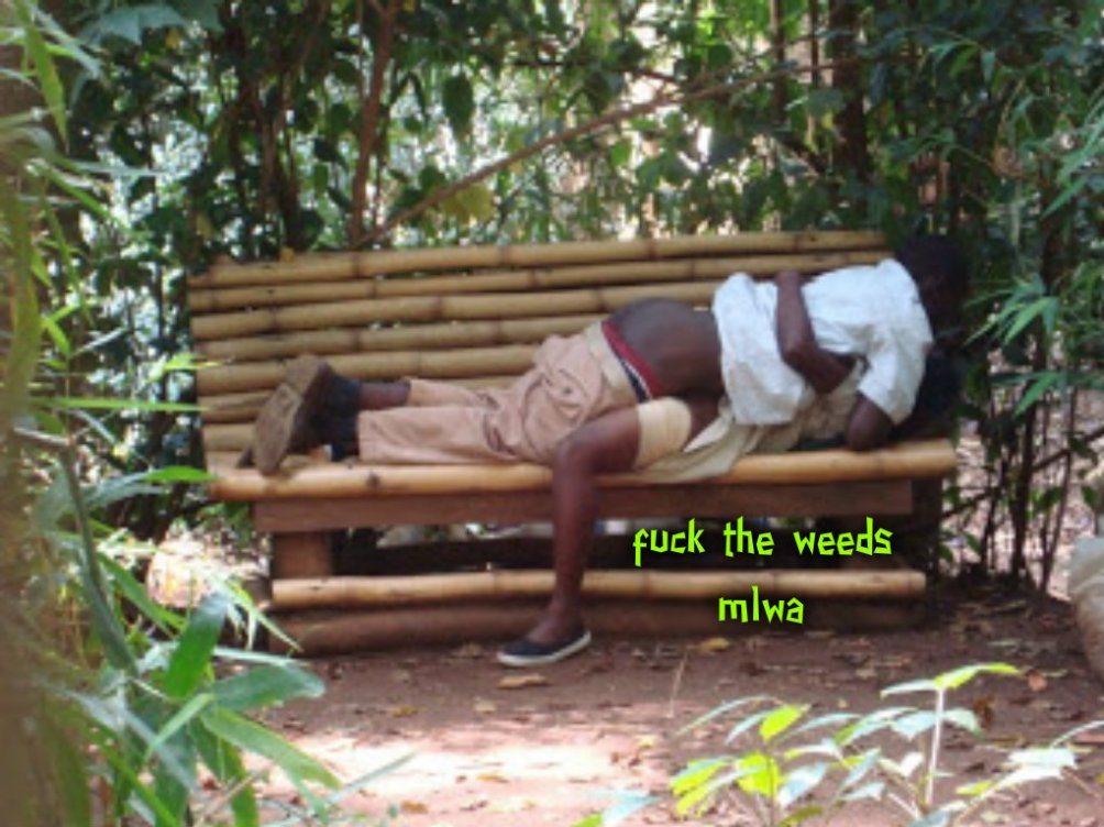 pizap.com14239679228581