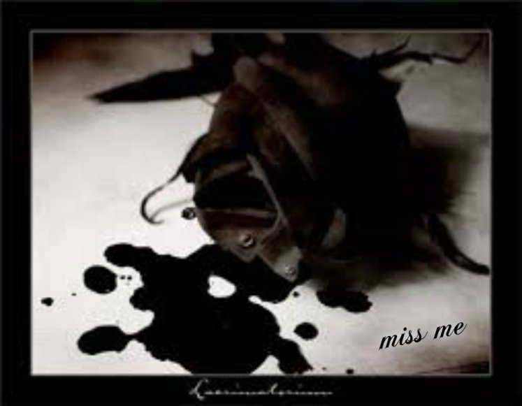 pizap.com14246424020421