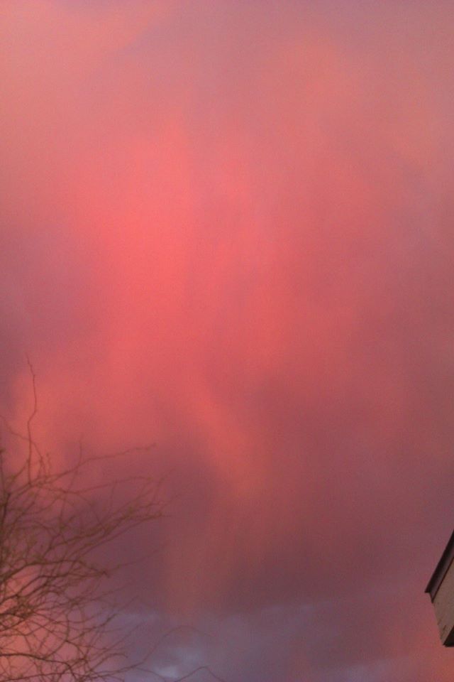 11029644_10205478891188044_1485437598_o