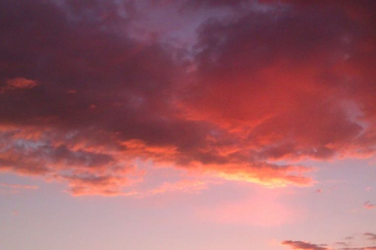 11051002_10205478901028290_1106489121_n