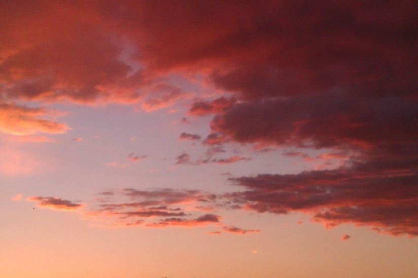 11051248_10205478890028015_1185846496_n