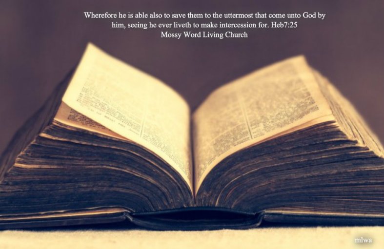 pizap.com14261743427341