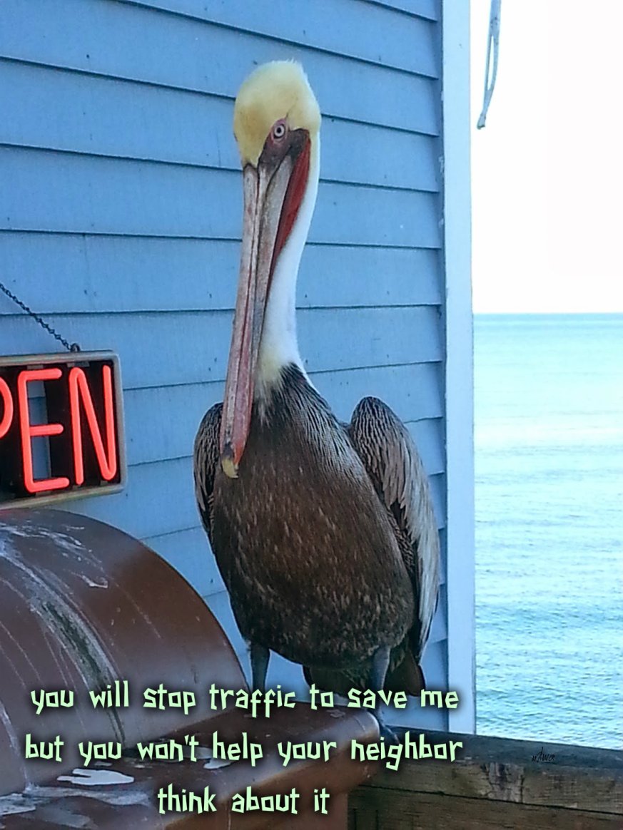 pizap.com14261791747441